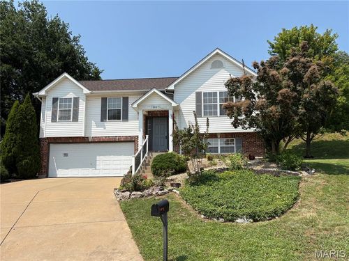 20 Concord Dr, Crystal City, MO, 63019-1272 | Card Image