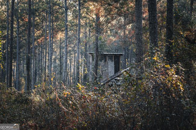 0 N County Line Rd, Home with 0 bedrooms, 0 bathrooms and null parking in Sylvester GA | Image 8