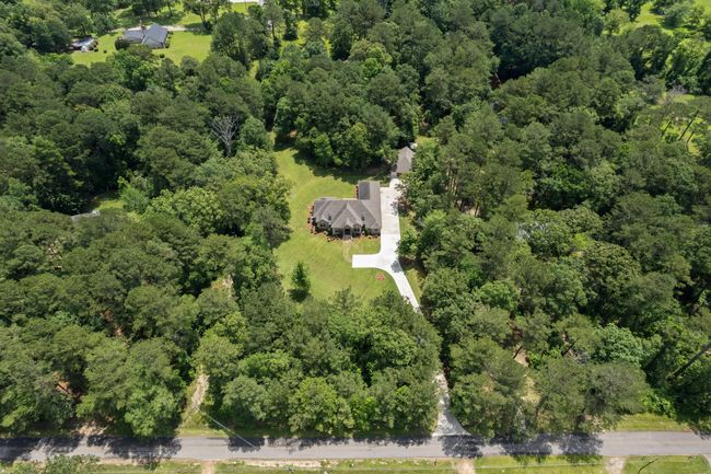338_Reedy_Creek_Rd-59 | Image 59