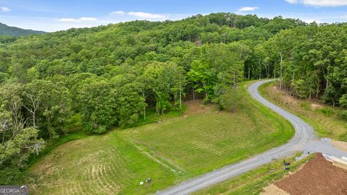 Lt 15&16 Bearden Rd, Blue Ridge, GA, 30513 | Card Image