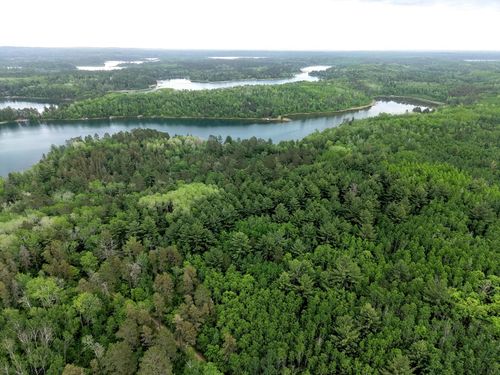 TBD 290th Street, Park Rapids, MN, 56470 | Card Image