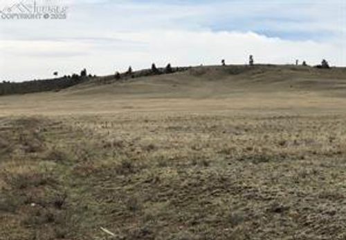 6820 Cahokia Rd, HARTSEL, CO, 80449 | Card Image