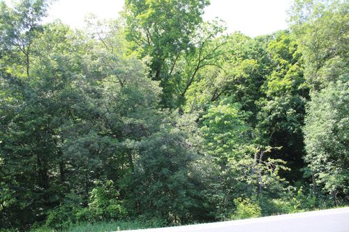 000 St Croix Trl, Taylors Falls, MN, 55084 | Card Image