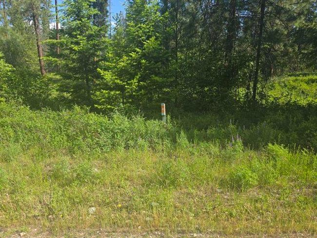 3418 Kingsbury Lake Way, Home with 0 bedrooms, 0 bathrooms and null parking in Kettle Falls WA | Image 4