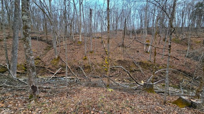 5900 S County Road 700 E, Home with 0 bedrooms, 0 bathrooms and null parking in Dillsboro IN | Image 40