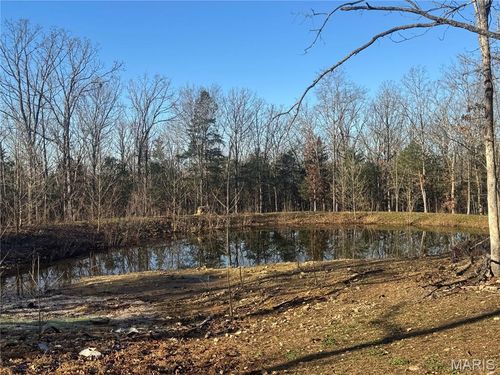 42850 Maries Road 638, Dixon, MO, 65459-7492 | Card Image