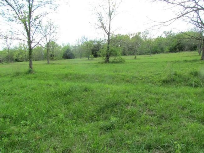 Tract 1 Renick Road, Home with 0 bedrooms, 0 bathrooms and null parking in Oak Grove MO | Image 37