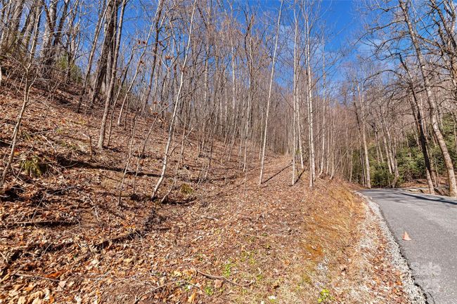 965 Wolf Pen Rd, Home with 0 bedrooms, 0 bathrooms and null parking in Old Fort NC | Image 16