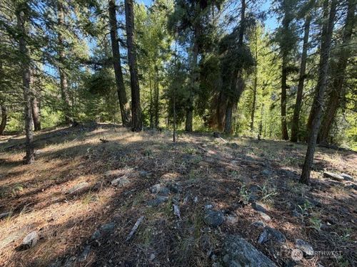 0 E Buttermilk Creek Rd, Twisp, WA, 98856 | Card Image