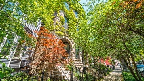 1-622 W Briar Pl, Chicago, IL, 60657-6662 | Card Image