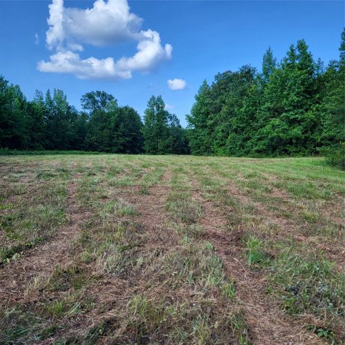 0 Dixon Cutoff Rd, Plain Dealing, LA, 71064 | Card Image