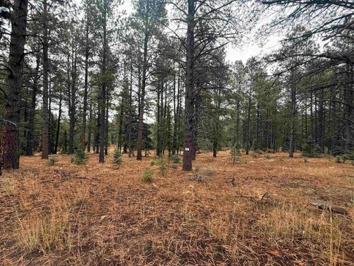 37 Valle Grande Trl S, Angel Fire, NM, 87710 | Card Image