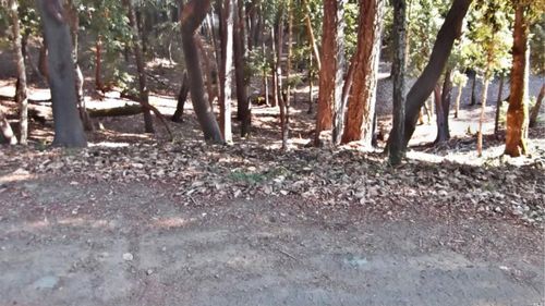 26931 Bear Dr, Willits, CA, 95490-8433 | Card Image