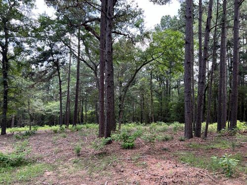 15 County Road 302, Plantersville, TX, 77363 | Card Image