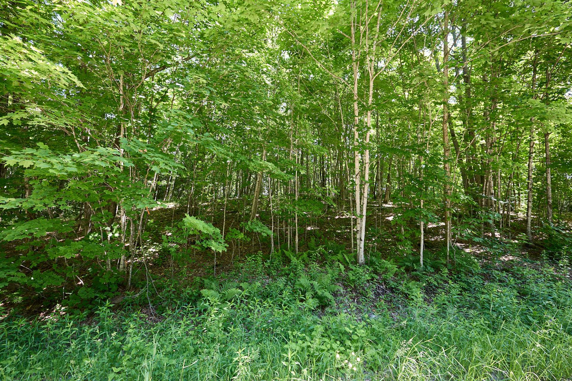 Land in Wentworth-Nord 4