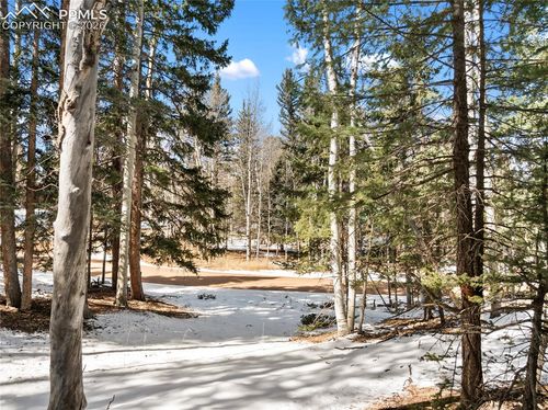 358 Pawutsy Rd, Florissant, CO, 80816-9245 | Card Image