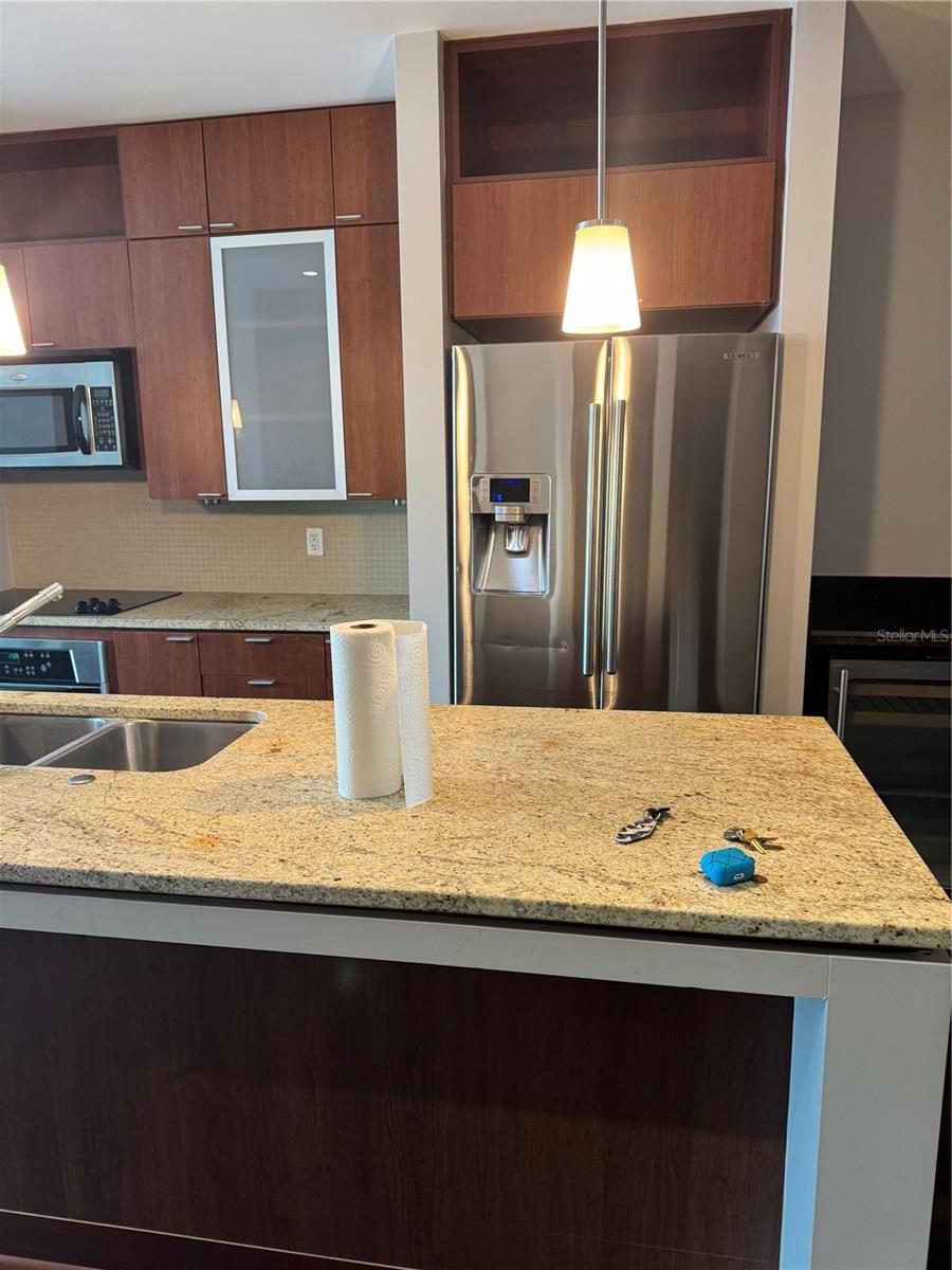 Residential Lease in TAMPA 4