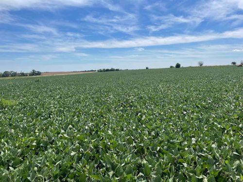 700 Blk Hwy # 15, Hope, KS, 67451 | Card Image