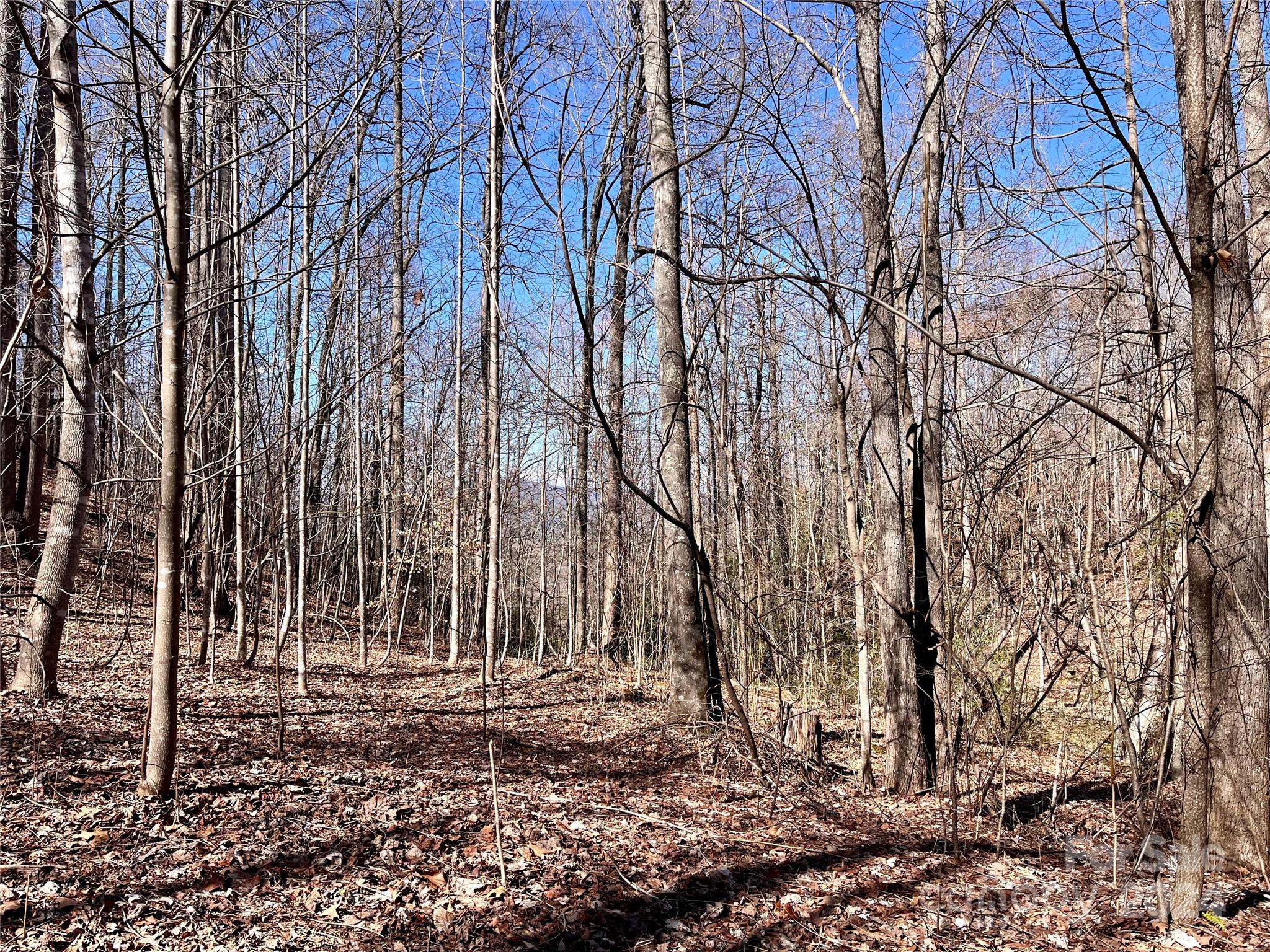 Land in Marion 3