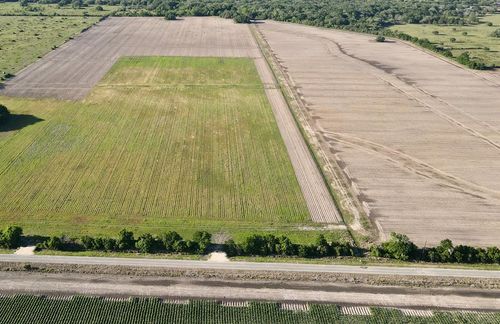 0 Harter Road (Cr 343), Blessing, TX, 77419 | Card Image