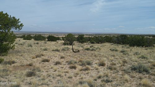 TBD St. John'S, St. Johns, AZ, 85936 | Card Image