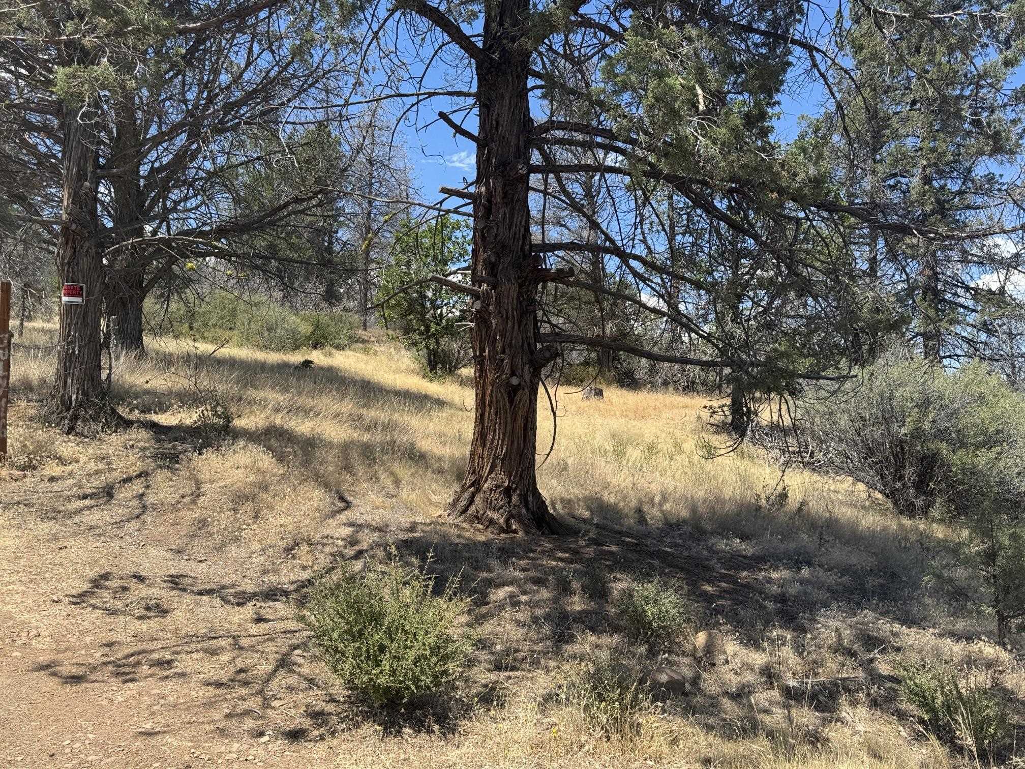 Land in Hornbrook 5