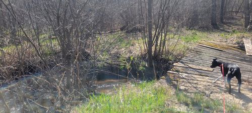 W14103 County Road P, TAYLOR, WI, 54659 | Card Image