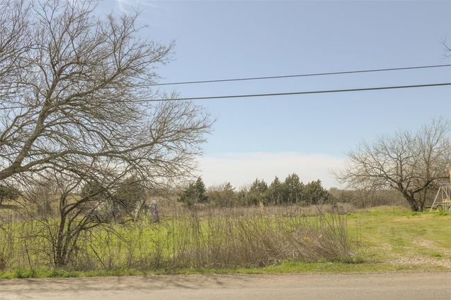 View of nature | Image 19