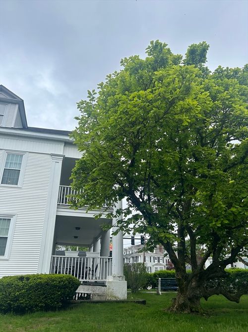unit-5-389 S Main St, Haverhill, MA, 01835-7251 | Card Image