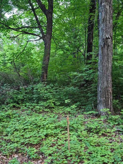 TBD Lot 310 197th Ave, McGregor, MN, 55760 | Card Image
