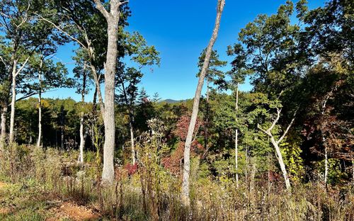 Lot 305 Green Wood Frd, Ellijay, GA, 30536 | Card Image