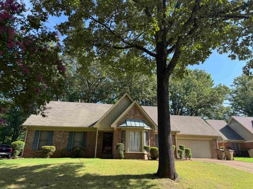 8544 Wood Cock Cv, Cordova, TN, 38018-4338 | Card Image