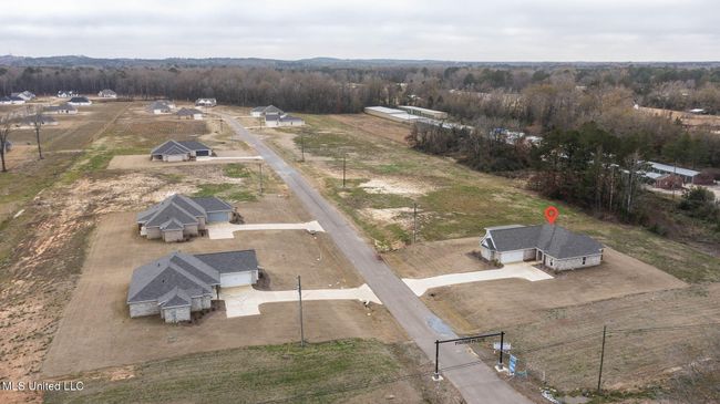 61-web-or-mls-202 Lizzy-69a | Image 67