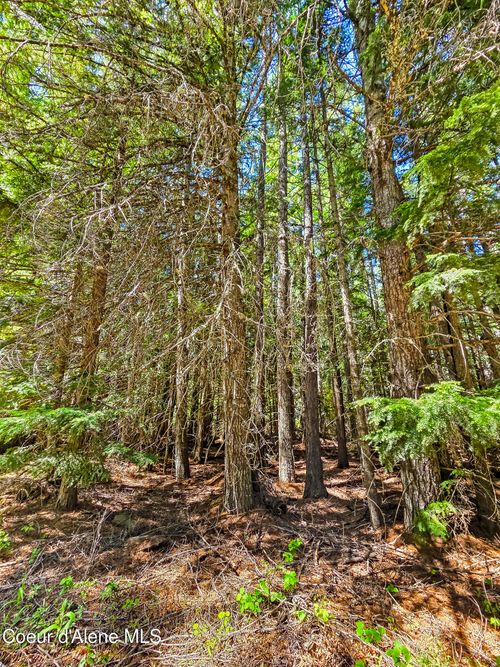 NNA Tanglewood Dr, Priest River, ID, 83856 | Card Image