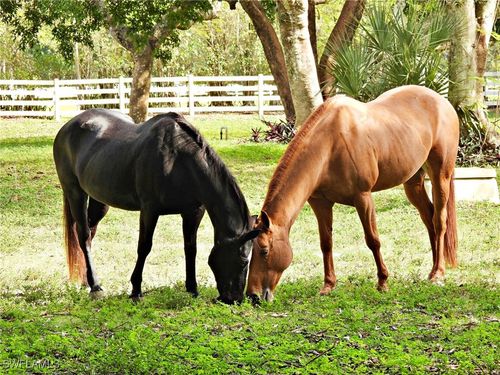 494 Gordonia Rd, NAPLES, FL, 34108-2643 | Card Image