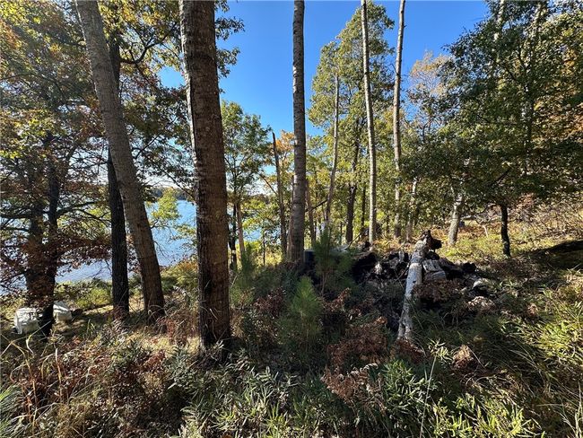 3983 E Robinson Lake Rd, Home with 0 bedrooms, 0 bathrooms and null parking in BARNES WI | Image 13