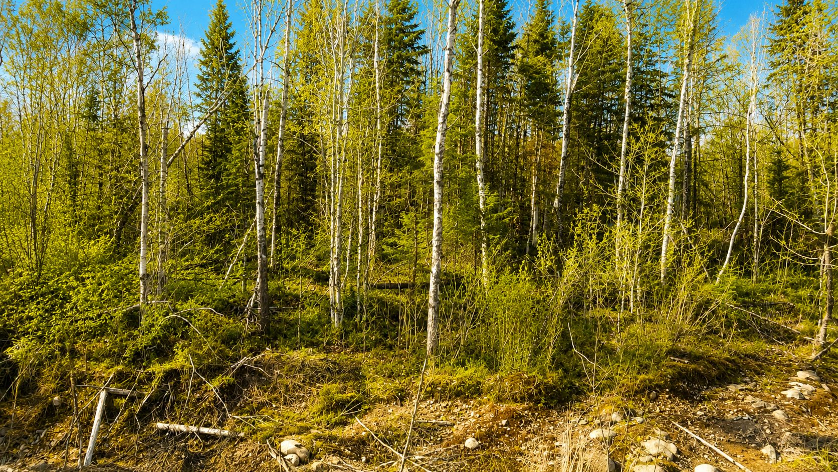 Land in Saint-Roch-de-Mékinac 5