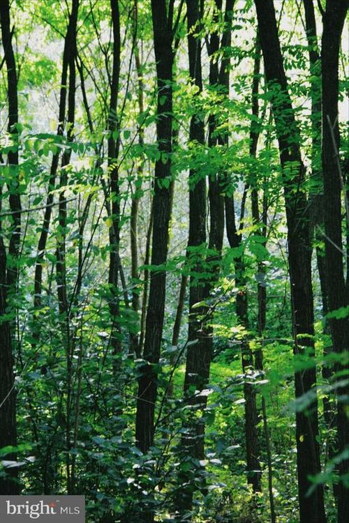 0 National Forrest Acess Rd, LURAY, VA, 22835 | Card Image