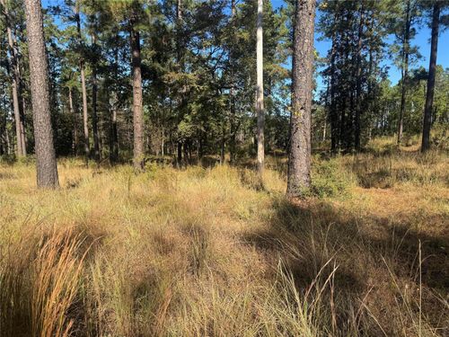 061 Private Road 6026, Brookeland, TX, 75931 | Card Image