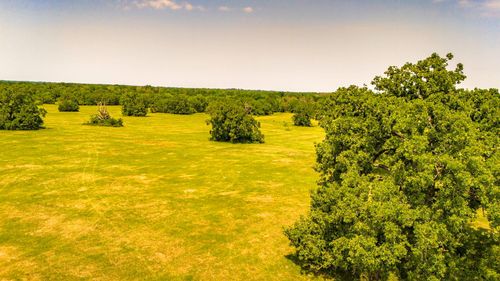 9 Boyd Rd, Madisonville, TX, 77864 | Card Image