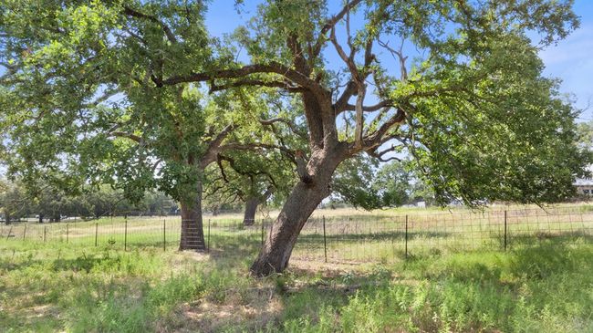 131 Elberta St, Home with 0 bedrooms, 0 bathrooms and null parking in Stonewall TX | Image 9
