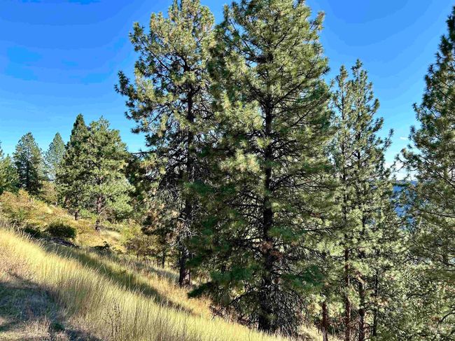 1510 Summitview Dr, House other with 2 bedrooms, 1 bathrooms and null parking in Orofino ID | Image 36