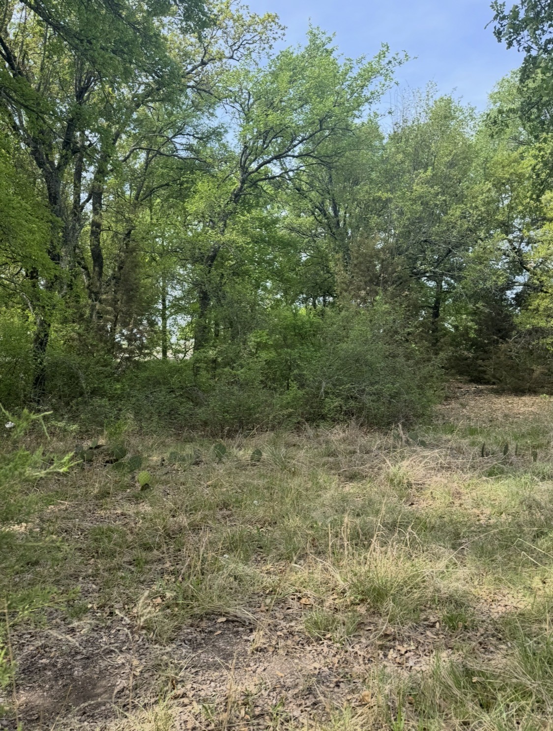Land in Weatherford 3