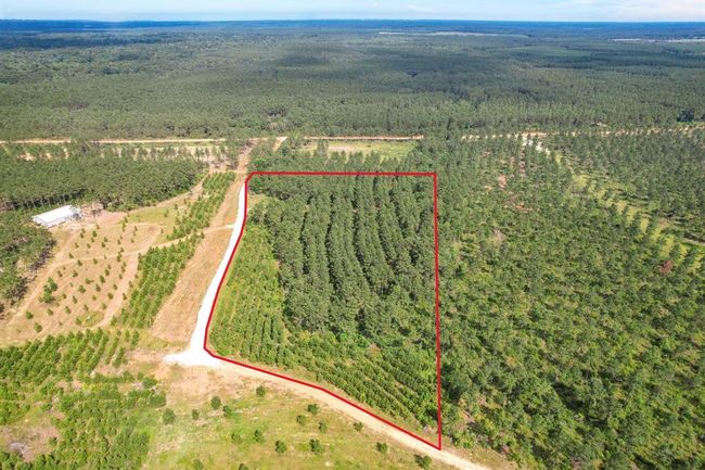 Approximate Property Area | Image 5