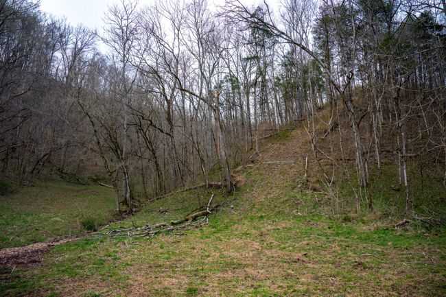 1438 Wartrace Rd, Home with 0 bedrooms, 0 bathrooms and null parking in Red Boiling Springs TN | Image 12