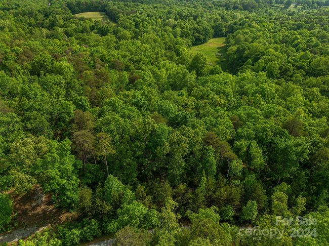 0 Walkaloosa Way, Home with 0 bedrooms, 0 bathrooms and null parking in Mooresboro NC | Image 22