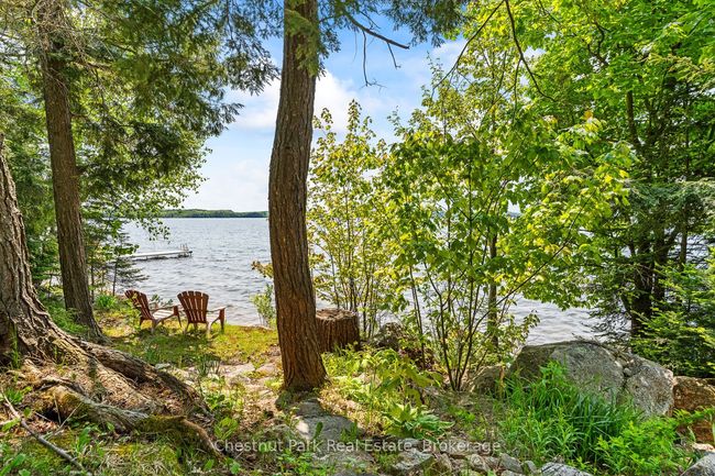 199 Long Point Rd, House other with 2 bedrooms, 1 bathrooms and 4 parking in Utterson ON | Image 29