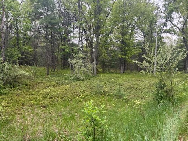 4465 E Old M 63, House other with 3 bedrooms, 1 bathrooms and null parking in Luther MI | Image 35