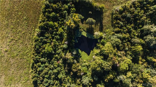 Bird's eye view | Image 17