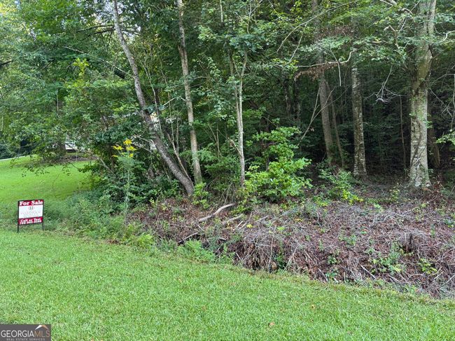 TRACT 2 Harbert Valley Rd, Home with 0 bedrooms, 0 bathrooms and null parking in Toccoa GA | Image 23
